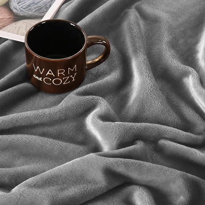 TASTHROW Lightgrey Throw Blanket 60x80 Inches | Soft Plush Cozy Fleece Flannel Throw Blanket, Lightweight Warm Throws for Bed, Couch, Bedroom and Living Room, All Seasons