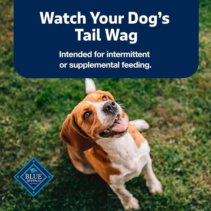 Blue Buffalo Stix Beef Pepperoni-Style Dog Treats, 5 oz | Real Beef #1 Ingredient, Soft & Easy to Tear, Developed by Veterinarians & Nutritionists, Great for Training