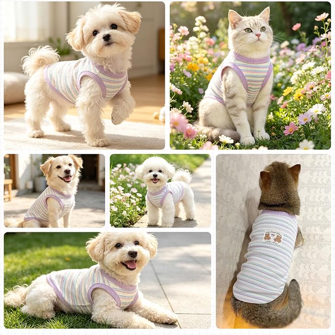 Small Dog Shirts Classic Striped Dogs Cats Clothes, Purple M | Soft Pet Tee Shirt, Breathable Dog Outfits with Exquisite Edging, Small Puppy Pajamas Chihuahua Yorki Party Daily Costumes