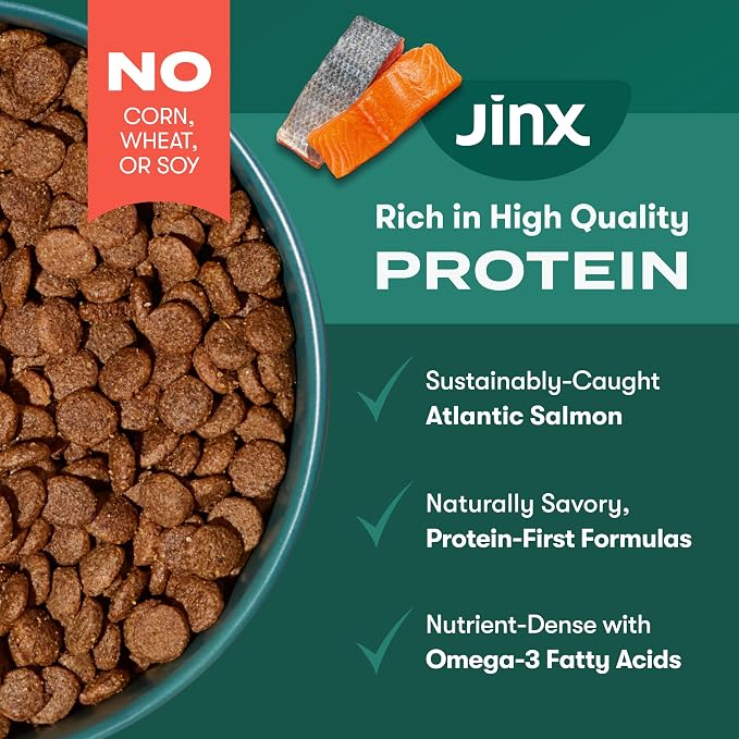 Jinx Grain Free Dry Dog Food - Real Salmon, Sweet Potato & Carrot, 4lb | Premium Kibble for Digestive Support & Healthy Immunity - No Fillers, All Lifestages (Puppy, Adult & Senior), Breeds & Sizes