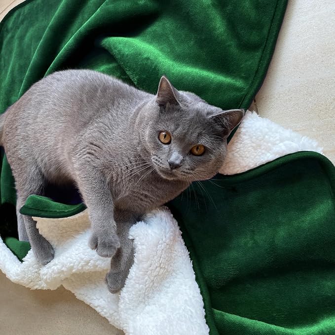 Soft Waterproof Blanket for Bed Couch Sofa, Green, 30x40 inches | Liquid Pee Proof Pet Blanket for Dog Puppy Cat, Reversible Sherpa Fleece Blanket for Couch Cover, Furniture Protector
