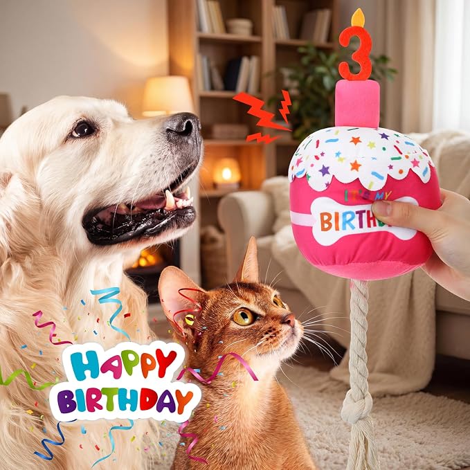 Dansydaisy Dog Birthday Cake Toy Squeaky Plush Gift,3rd,Rose Pink