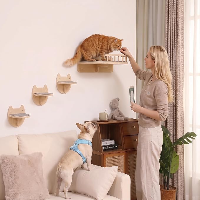 Cat Wall Shelves, Floating Bed with 3 Cat Wall Steps - Natural | Pre-Drilled Anchor Kit for Easy Mount, Cozy Spot for Climbing & Play, Indoor Cats up to 18 lbs, Solid FSC Birch Wood