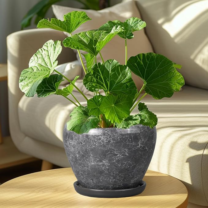 Ceramicfor 8 Inch Plant Pot - Ceramic Planter Pot with Drainage Hole and Saucer, Glaze Garden Pot Modern Flower Pot for Indoor Plants, Gray
