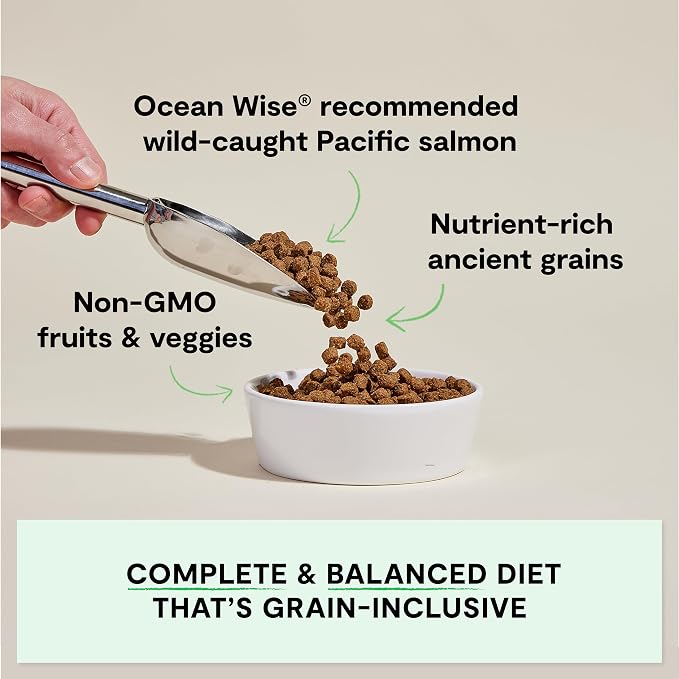 Open Farm, Ancient Grains Dry Dog Food, Protein-Rich & Nutrient Dense, 90% Animal Protein Mixed with Non-GMO Fruits, Veggies and Superfoods, Wild Caught Salmon Recipe, 4lb Bag (Pack of 3)