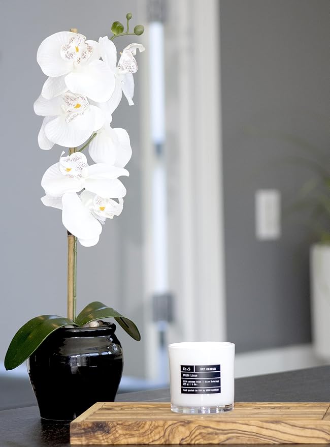 Lulu Candles | Wild Lemongrass | Luxury Scented Soy Jar Candle | Hand Poured in The USA | Highly Scented & Long Lasting (9 Oz.)
