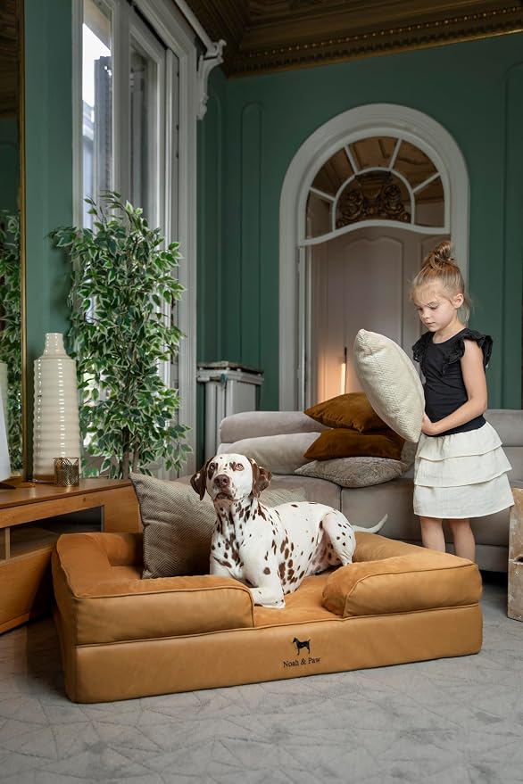 NOAH & PAW XL Dog Bed, 45x35x11 Inch, Orthopedic Large Dog Beds, Eggshell Memory Foam Infused with Cooling Gel, Inner Cover, Water Resistant, Machine Washable (Faux Leather)