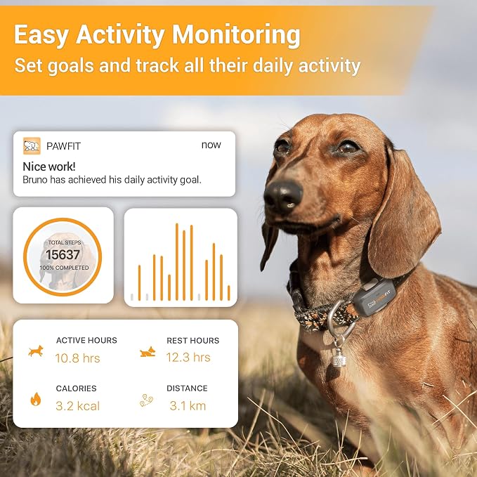 Pawfit Lite 4G GPS Dog Tracker, Live Tracking, Ultra-Light, Onyx Black