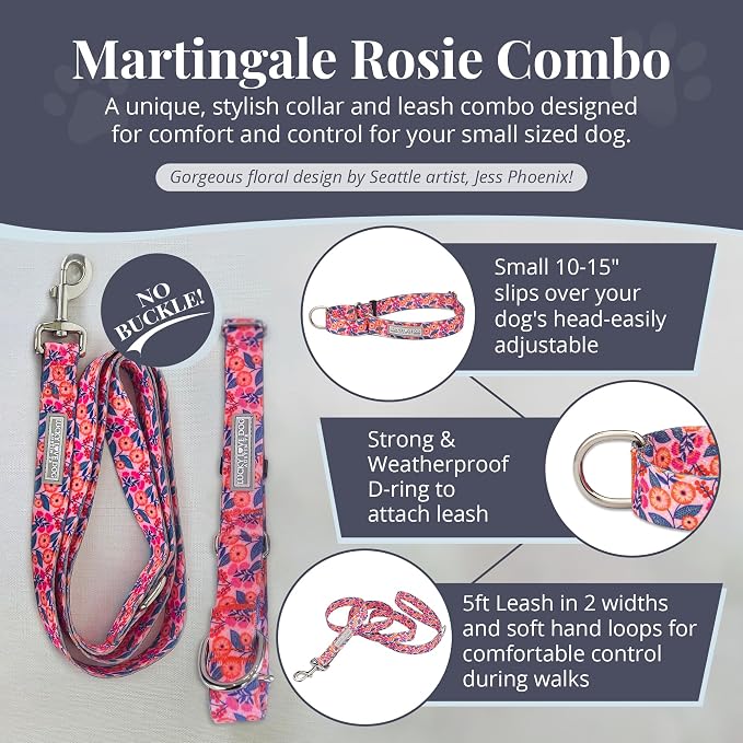 Lucky Love Dog Martingale Collar & Leash Set No Slip Cute – Rosie, Small