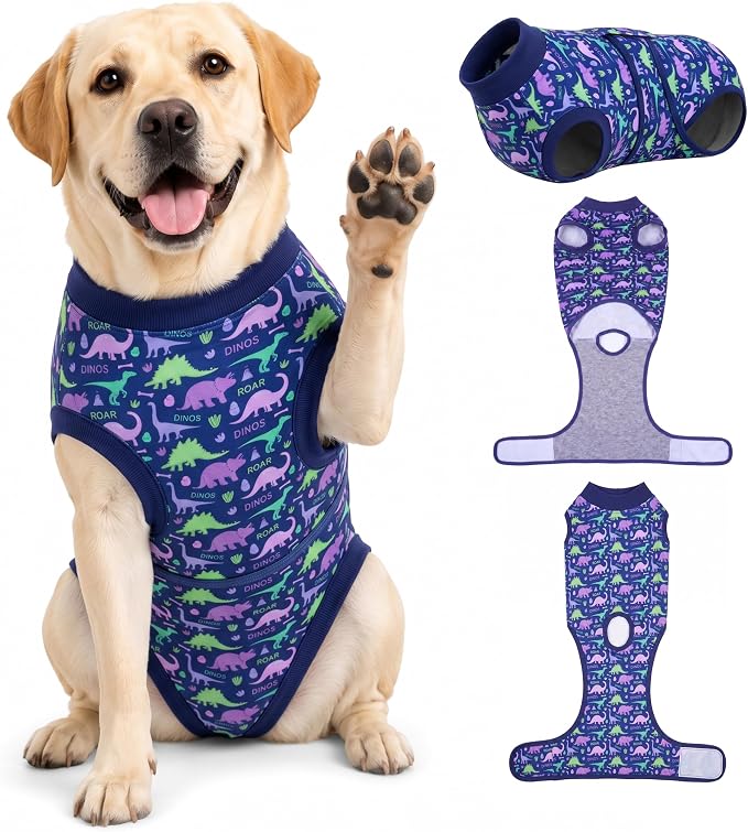 PetWarm Dog Recovery Suit, Onesies for Dogs, Dog Cone Alternative After Surgery Substitute E-Collar and Cone Prevent Licking Dog Onesies Pet Surgery Recovery Suit, Dinosaur Pattern, Blue Purple, 2XL