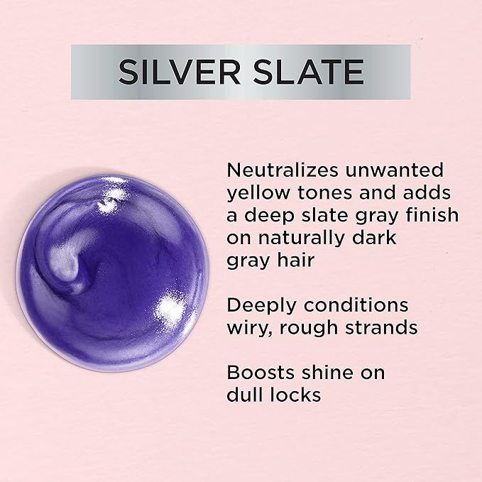 L’Oreal Paris Le Color Gloss One Step Toning Gloss, In-Shower Hair Toner with Deep Conditioning Treatment Formula for Gray Hair, Silver Slate, 1 Kit
