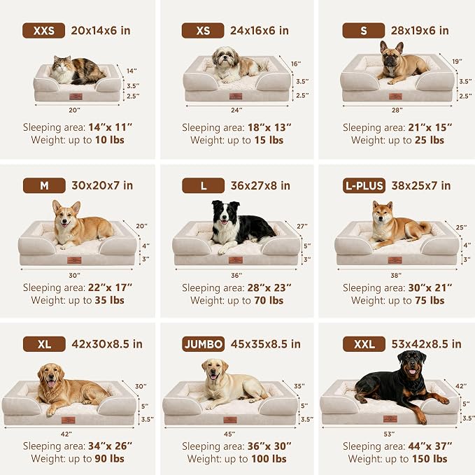 Comfort Expression Waterproof Orthopedic Dog Beds for Extra Large Dog | Supportive Egg Crate Foam XL Dog Bed with Removable Bolster, Dog Couch with Washable Cover & Non-Slip Bottom, 45x35 Inch