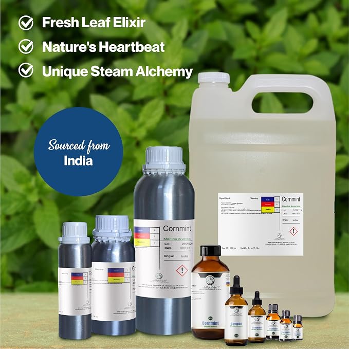 Cornmint Essential Oil - 100% Pure & Natural Essential Oil for Aromatherapy, Home Essential Diffuser Oil, Refreshing Minty Aroma for Aromatherapy and Skincare - Sourced from India 2oz