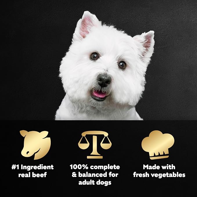 Cesar Wholesome Bowls Wet Dog Food, Beef & Purple Potatoes, 3 oz, 10 Count | Real beef #1 ingredient, slow-cooked, no by-products or artificial flavors, 10 key ingredients, easy to digest