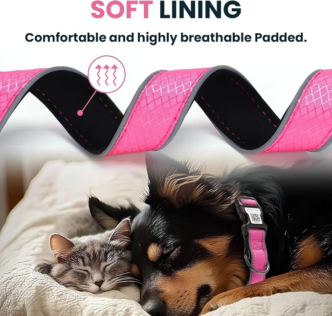 Reflective Dog Collar for Small Dogs,Personalized Dog Collar with Online Profile, Soft Neoprene Padded,Anti-Lose Function with QR Code Tag System,Rose Red S(9.8"-15.7")