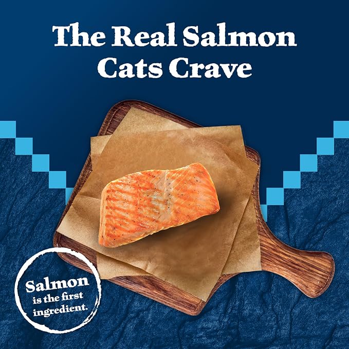 Blue Buffalo Wilderness Salmon Paté Adult Wet Cat Food, 5.5 oz, 24 ct | Real Salmon #1 Ingredients, High Protein & Grain-Free Recipes, Supports Energy for an Active Life