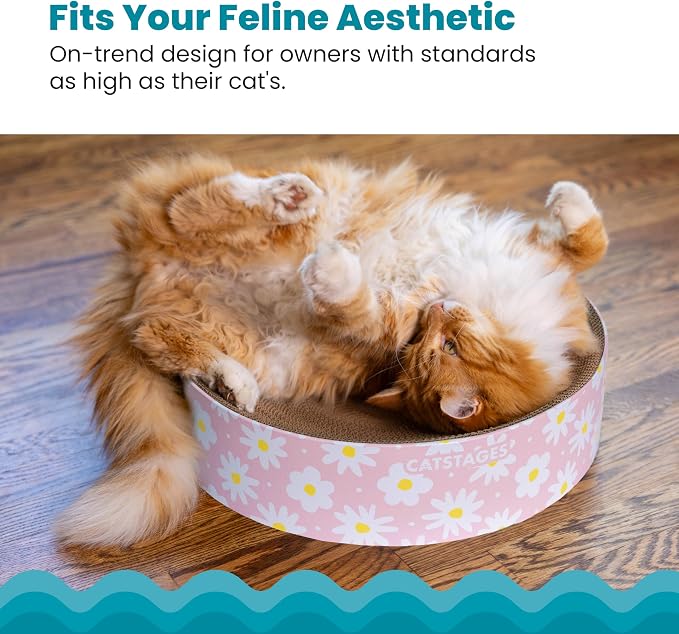 Catstages Scratch & Snuggle 2-in-1 Cat Scratcher & Lounger, Corrugated Cardboard Scratching Pad, Bowl-Shaped Design for Kittens & Indoor Cats up to 15 lbs, 16"