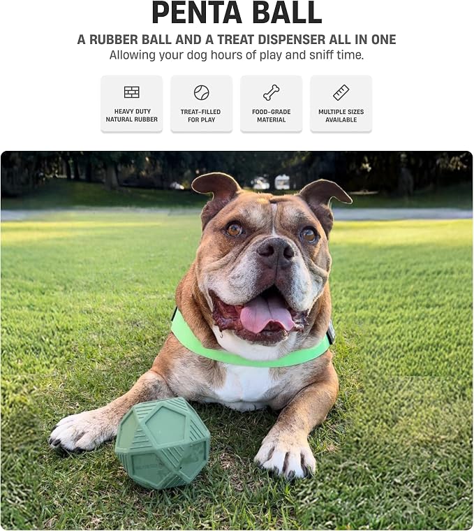 Dog Friendly Co. Penta Ball, Treat Dispensing Dog Toy (Medium, Dark Green)