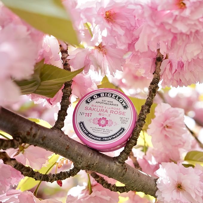 C.O. Bigelow Sakura Rose Salve Tins, Pack of 3 Lip Balm Tins, All Purpose Salve for Lips, Cuticles, Hands & Dry Skin, Lip Balm Set, 0.8 oz