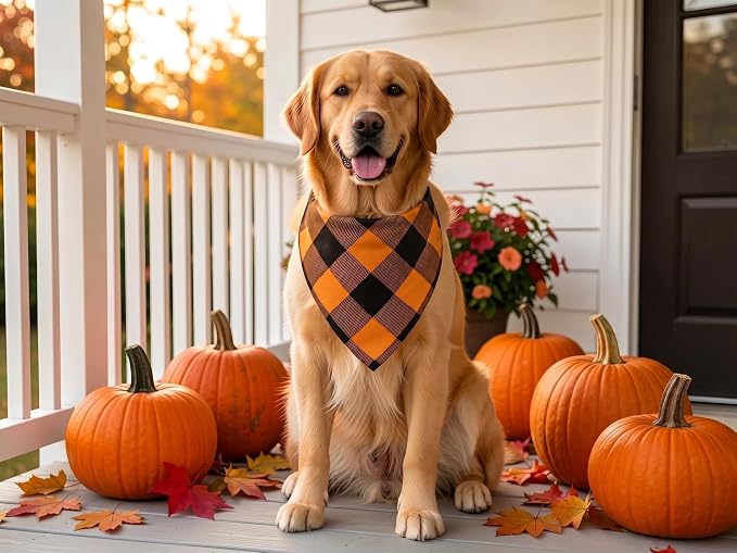 Fall Dog Bandanas 2PCS Halloween Pumpkin Spider Web Large Dogs | Reversible dog bandanas for fall & Halloween & Thanksgiving. Orange plaid/pumpkin/Spider Web design. Fits medium-large dog