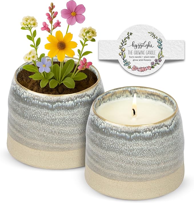 Hyggelight - The Growing Candle, Lemongrass Scented, 10oz Ceramic Pot, Single Wick Aromatherapy Candles, 100% Soy for Women and Men, Greta