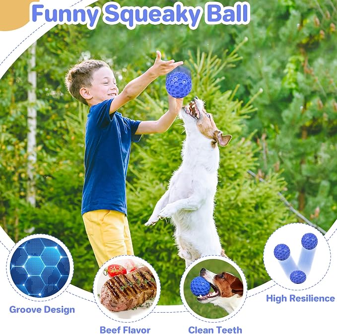 DISSKNIC Tough Squeaky Dog Balls Puppy Toys, Interactive Dog Toys for Small Dogs, Puppy Chew Toys for Teething and Relax, Dog Chew Toy Small Balls Dog Toys for Small Breed, Outdoor Dog Toys for Dogs