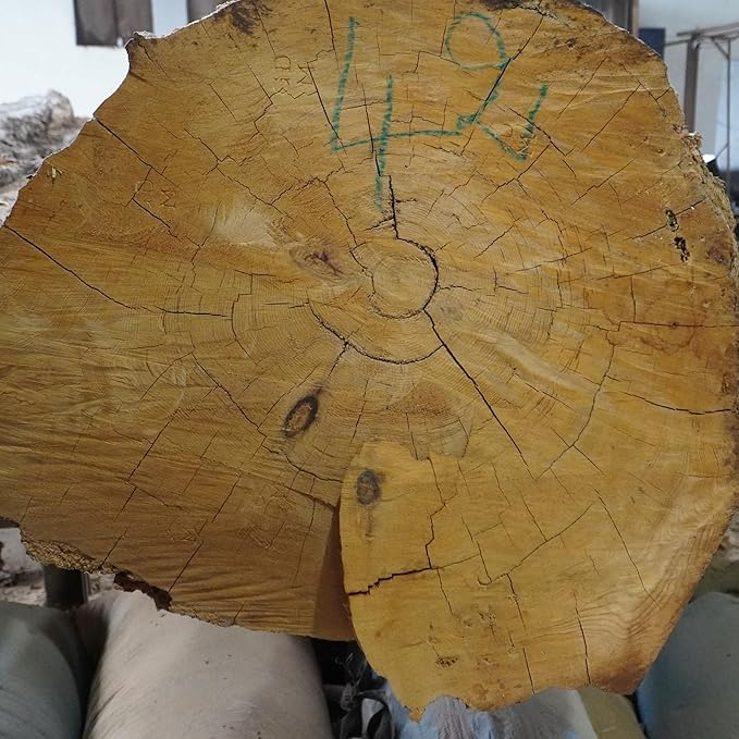 Pure Cedarwood (Atlas) Essential Oil (2lbs) - Direct from Malagassi Essential Oils Farm in Morocco - Essential Oils for Diffusers and Aromatherapy | Pure Therapeutic Grade