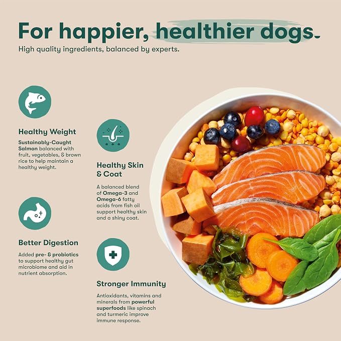 Jinx Grain Free Dry Dog Food - Real Salmon, Sweet Potato & Carrot, 11.5lb | Premium Kibble for Digestive Support & Healthy Immunity - No Fillers, All Lifestages (Puppy, Adult & Senior), Breeds & Sizes