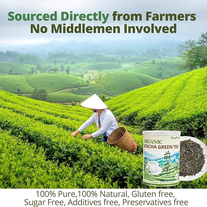 Organic Sencha Green Tea Loose Leaf – 3.53oz/100g, USDA Organic, Whole Leaf Green Tea, VitalForest Premium Steam-Fixed Green Tea, Mild Umami Taste