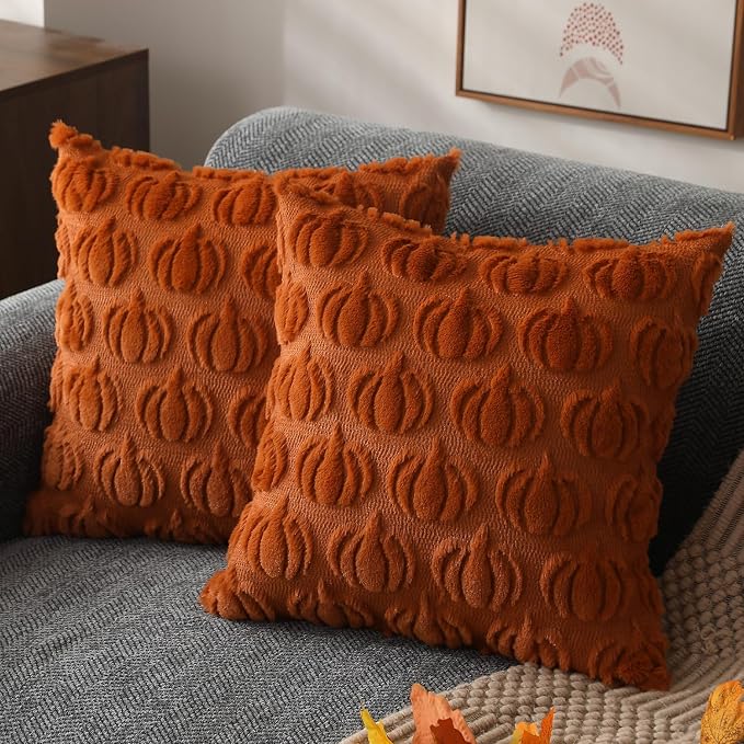 DFXSZ Fall Pillow Covers 20x20 Set of 2 Fall Decorations Autumn Rust Pumpkin Throw Pillow Cases Soft Plush Faux Fur Wool Couch Cushion Case for Chair Sofa Bedroom Living Room Home Decor PTK02A20 | Fall decor Set of 2 Throw Pillow Cases Soft Plush Faux ...