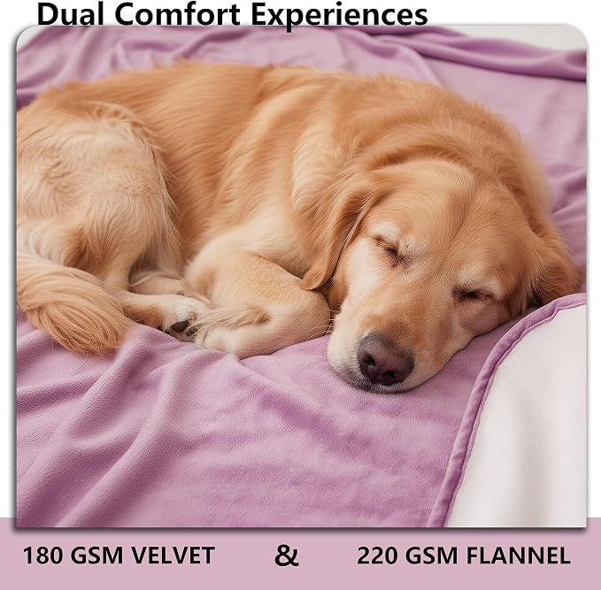 Waterproof Blanket - Reversible Dog Throw as Furniture Protector | Soft Velvet & Flannel, TPU Leak-Proof Liner, Machine Washable, Fits Couch and Bed, 68" x 82", Purple/Cream
