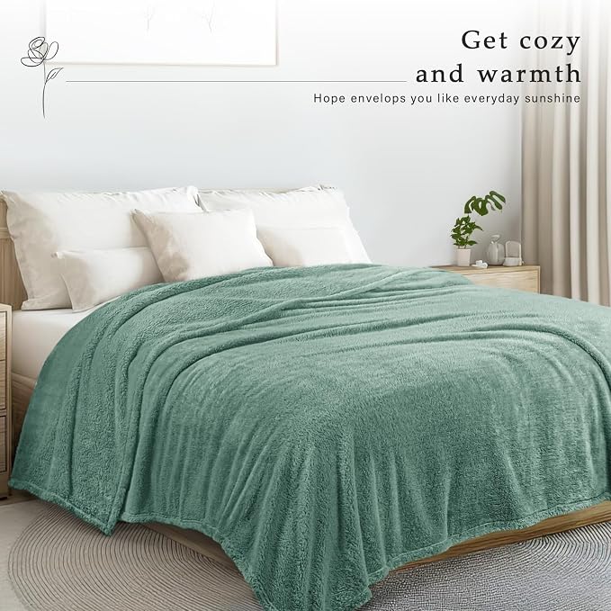 Exclusivo Mezcla Soft Plush Fleece Twin Size Blankets for Bed Living Room | Lightweight Fuzzy Fluffy Large Blanket for All Seasons, Cozy Velvet for Women Men, Machine Washable, 60"x80", Celadon