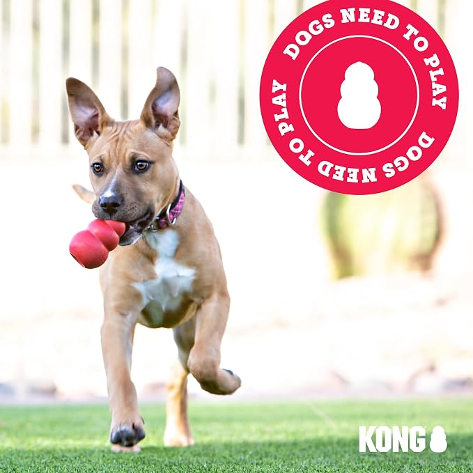 KONG Goodie Bone, Natural Rubber Treat-Dispensing Toy, Red, for Large Dogs | Classic KONG Durable Natural Rubber Bone with Goodie Grippers That Hold Treats & Support Mental Engagement