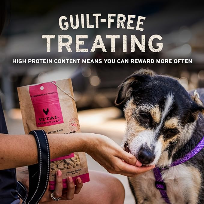 Vital Essentials Freeze Dried Dog Treats, Chicken Breast, 3.75 oz Bag | Single Ingredient, Premium Quality Protein, Grain-Free Training Treats, USA Made with U.S. & Globally Sourced Ingredients