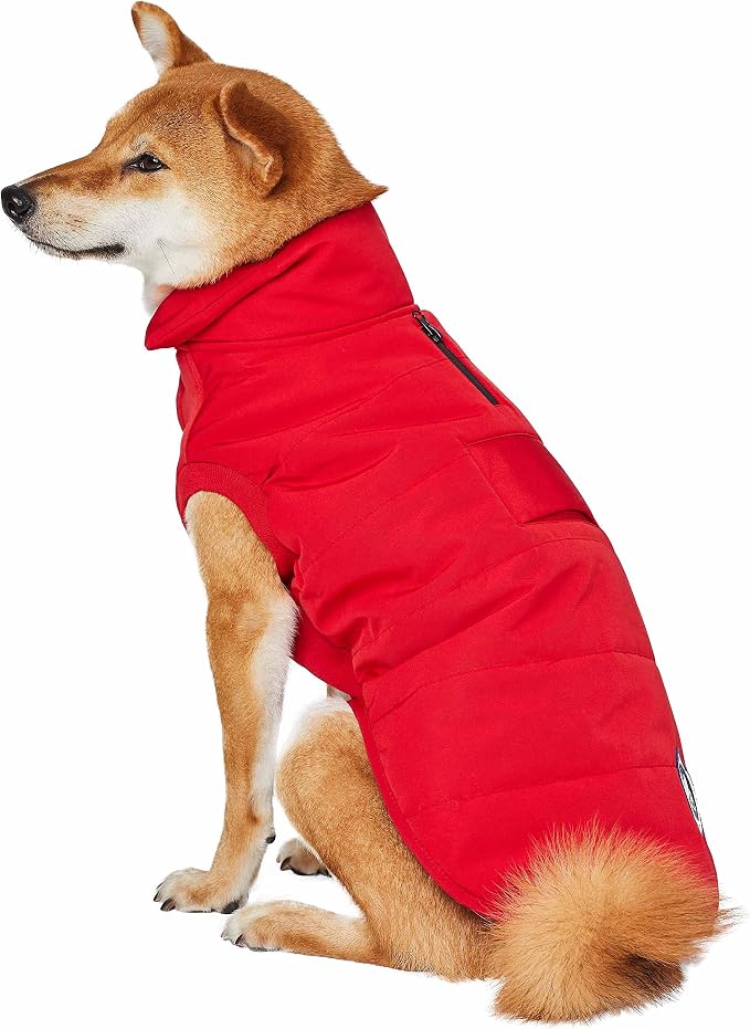 Blueberry Pet Waterproof Windproof Winter Dog Coat – Cozy Quilted Puffer Jacket for Small Dogs, True Red, Size 12" (13 3/4" Back Length)