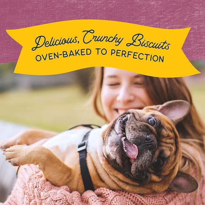 Natural Balance Rewards, Crunchy Biscuits, Venison, 14 oz | Grain-Free Dog Treats for Adult Dogs, Limited-Ingredient Recipe, Made with Real Ingredients, Great for Training