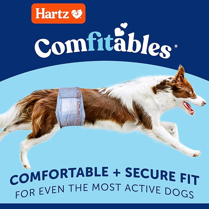 Hartz Comfitables Disposable Male Dog Wraps Stretchy Waistband, M 36 Count | Comfortable & Secure Fit, Easy to Put On, Super Absorbent, Breathable Material, FlashDry Technology, Leak Shield