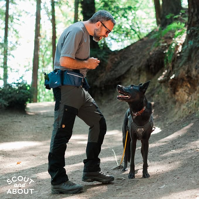 P.L.A.Y. Explorer Pack All-in-One Dog Walking Belt Bag with Zipper Pockets, Water Bottle Holder, Treat Pouch, Poop Bag Holder/Dispenser, Ball Pouch - Attaches to Leash for Hands-free Walking (Lava)