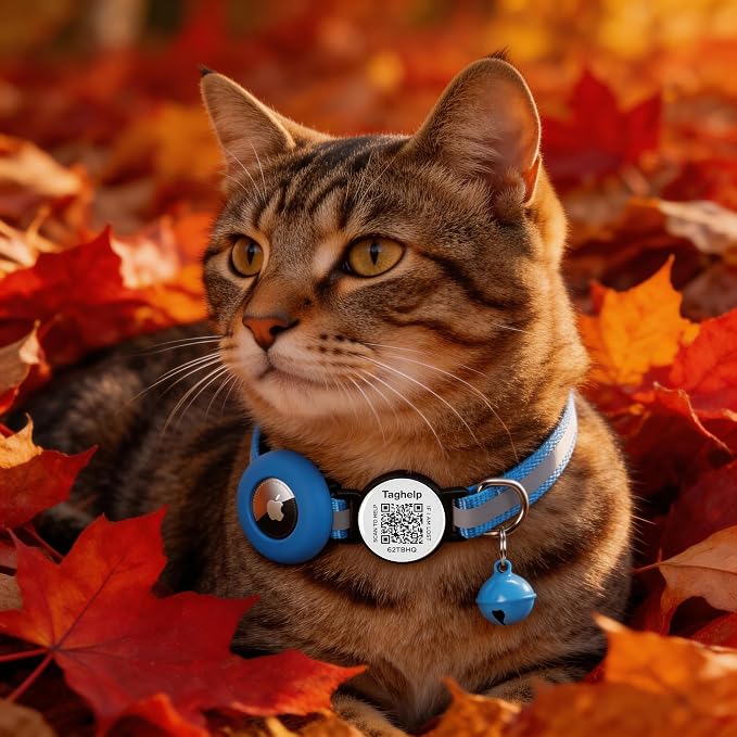 Reflective AirTag Cat Collar, Integrated Cat Collar with Air Tag Holder and Bell, Breakaway with QR Code Name Tag,Safety Elastic Band Cat Collars for Girl Boy Cats, Kittens and Puppies (Blue)