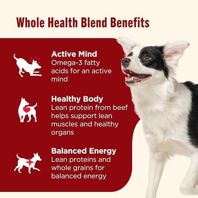 Nutrish Beef Wet Dog Food Chunks in Gravy, 13 oz. Can (Rachael Ray) | No Poultry By-Product Meal, Artificial Preservatives or Flavors, No Added Corn or Wheat Ingredients (Pack of 12)