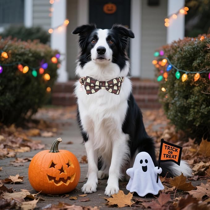 ADOGGYGO Halloween Dog Collar with Bow, Ghost Dog Bow Tie Collar, Large