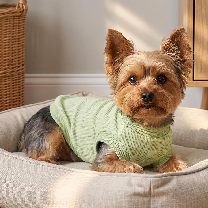 1 Pack Dog Shirt for Small Supplies Functional Waffle Dog Clothes Warm Soft Sweatshirt Outfit for Dogs Cats Pet Apparel
