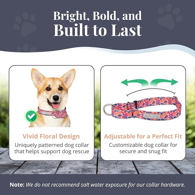 Lucky Love Dog Martingale Collar & Leash Set No Slip Cute – Rosie, Small