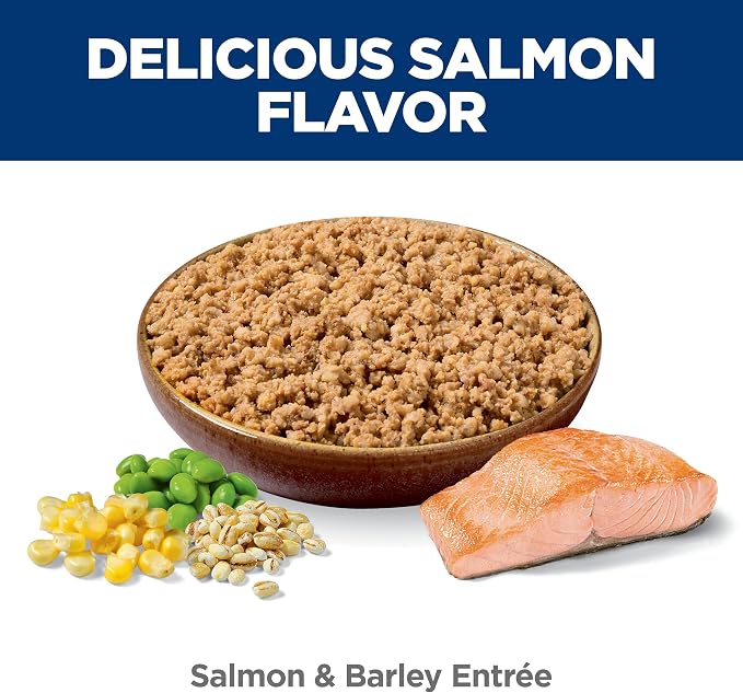 Hill's Science Diet Adult 1-6 Wet Dog Food | #1 Veterinarian Recommended, Salmon & Barley, 13 oz. Cans, 12-Pack