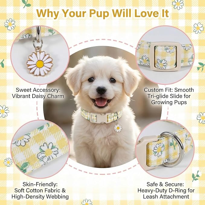 Cute Dog Collar, Yellow Plaid Dog Collar with White Floral Pattern, Spring Summer Design Floral Collar for Girls Boys Extra Small Dogs, Yellow Checkered Daisy, XS