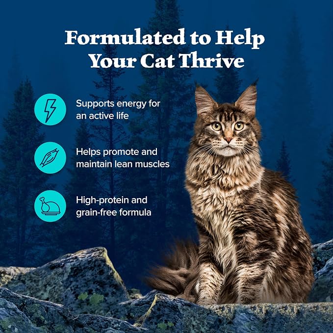 Blue Buffalo Wilderness Chicken & Trout Wet Cat Food, 3 oz, 24 ct | Wild Delights Meaty Morsels in Tasty Gravy, High Protein & Grain-Free Recipe, Made with Natural Ingredients