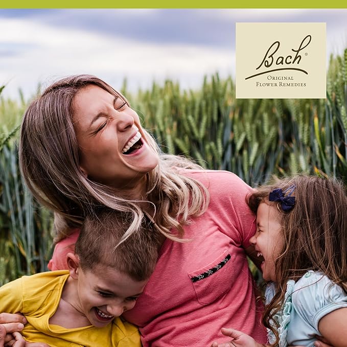 Bach Original Flower Remedies, Wild Rose - Show Enthusiasm - Natural Homeopathic Flower Essence for Emotional Balance - Vegan, Gluten Free, Sugar Free - 20mL Dropper