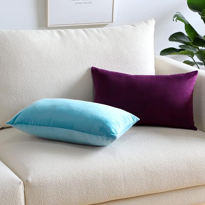 Artscope Luxury Velvet Pillow Covers Super Soft Decorative Rectangle Throw Pillow Covers Case Cushion Covers for Sofa Couch Bedroom Car Decor 16x24 Inch Eggplant Purple
