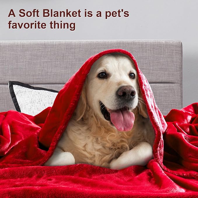 DREAMNINE Ultra Large Soft Fuzzy Flannel Fleece Blanket Full Size 80" x 90", Decorative Solid Lightweight Fluffy Velvet Bed Blanket, Luxury Big Cute Cozy Shag Plush Microfiber Blankets for Bedroom,Red