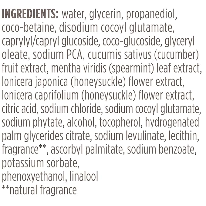Burt's Bees Refreshing Foaming Face Cleanser and Face Wash with Cucumber and Mint, 4.8 Fluid